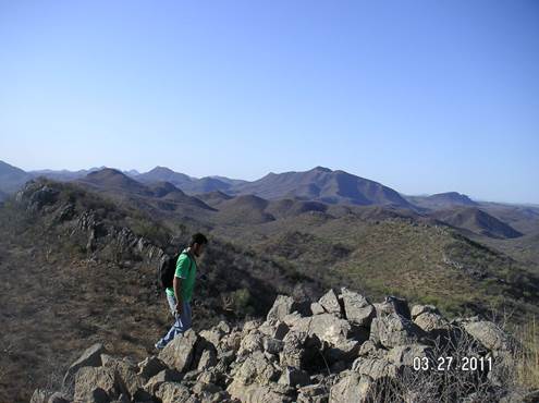 PICT0043